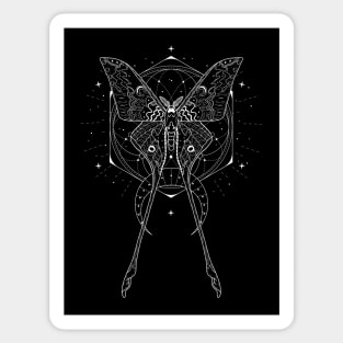 Chinese Luna Moth - Actias Dubernardi Sticker